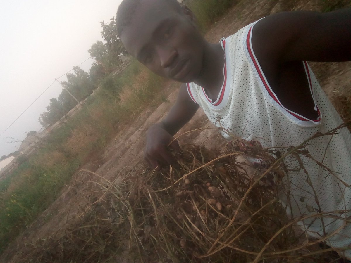 DannySecret2's tweet image. Eat what you grow and grow what you eat