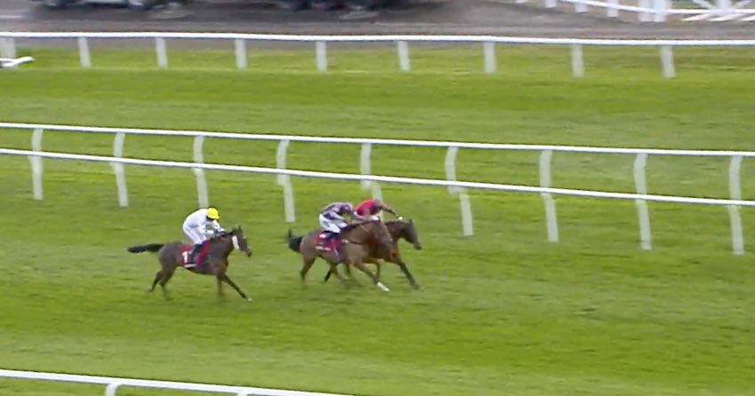 amajox's tweet photo. Congratulations #champ @amajox #DavidMaxwell WINS @Ladbrokes Hurdle #DolphinSquare @PJHobbs1 @NewburyRacing in thrilling finish and survives #StewardsEnquiry  #14ran What a ride! #topride #topjock 🏆👏👌👏👏👏 https://t.co/MY7hPEgAet