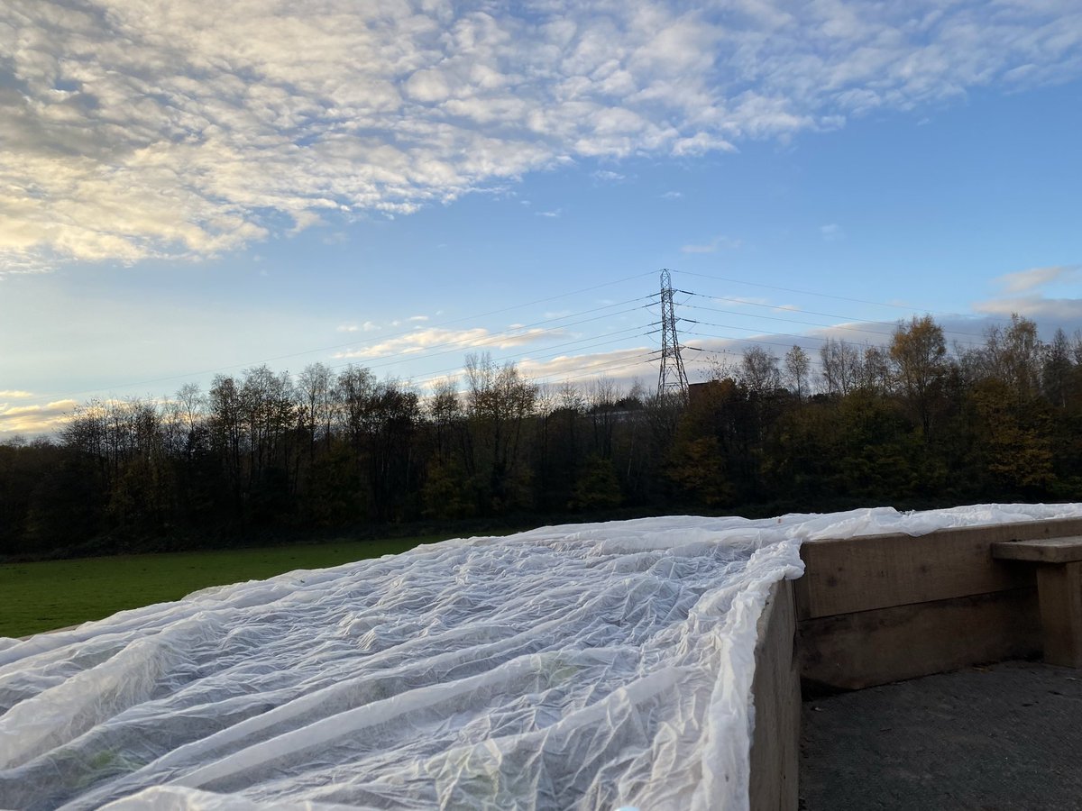 GrowCardiff's tweet photo. Really hoping with the incoming weather warning &amp; cold temperatures 🥶 our delicate little plants survive! 🤞🏼🌱

Stay warm out there! 😚

#wintergrowing #edibleplayground @TreesforCities @cardiffcouncil @GlanYrAfonPS https://t.co/58zw2DjkNf