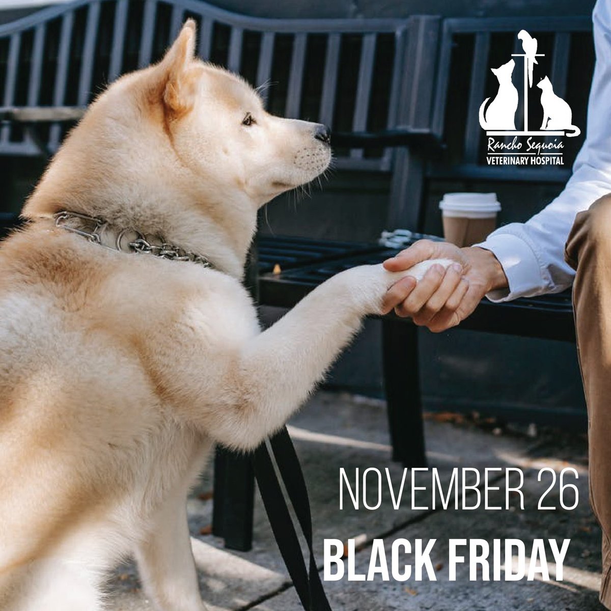 RanchoVets's tweet photo. Happy #BlackFriday!  We hope you are enjoying all the steals and deals today!  As a reminder, we are open today!  #RanchoSequoia https://t.co/DmAdolHoP6