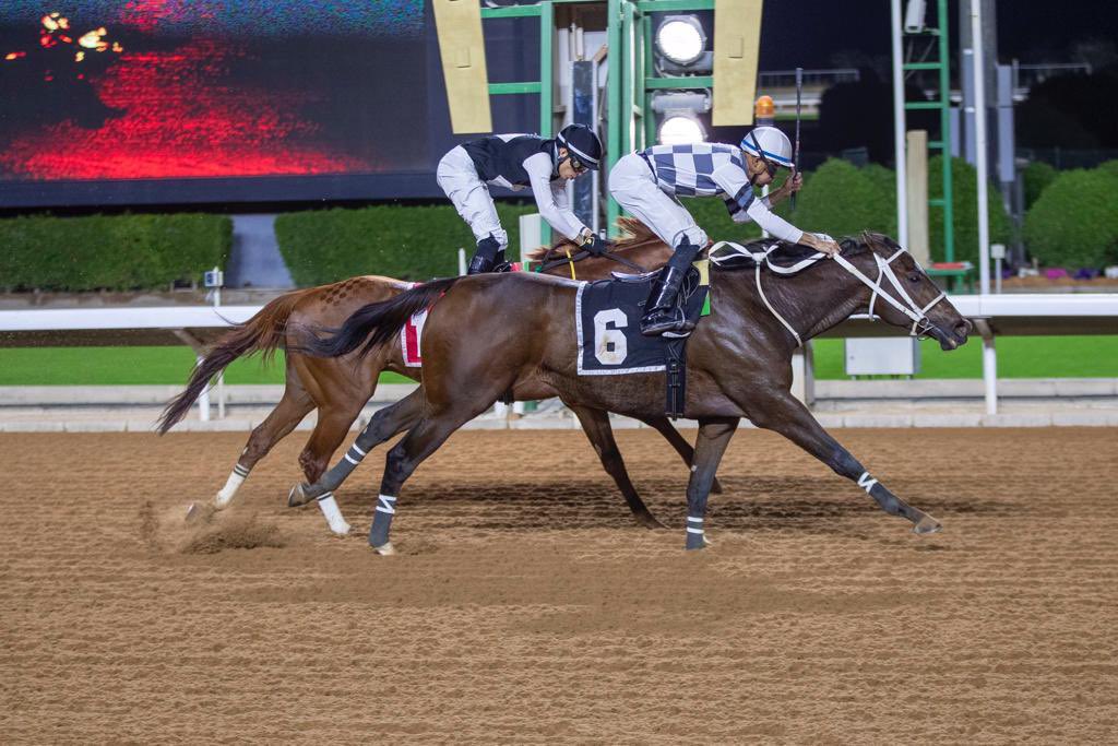 ridae8's tweet photo. @sultan_ghannam مبروك يا سلطان فوز أنا المقصود وفوز العالمي وابداعك 👍🏻🐎
#النصر https://t.co/Fuhd8OSDjv