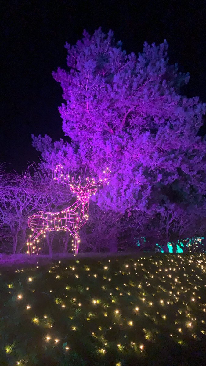 Punchline-Gloucester.com (@punchlineglos) on Twitter photo The Enchanted Light Trail launched tonight at <a href="/CotswoldFarmPrk/">Cotswold Farm Park</a> - winter’s magic in all it’s glory ❄️
Don’t miss out: bit.ly/3l8Wkws The Enchanted Light Trail launched tonight at <a href="/CotswoldFarmPrk/">Cotswold Farm Park</a> - winter’s magic in all it’s glory ❄️
Don’t miss out: bit.ly/3l8Wkws