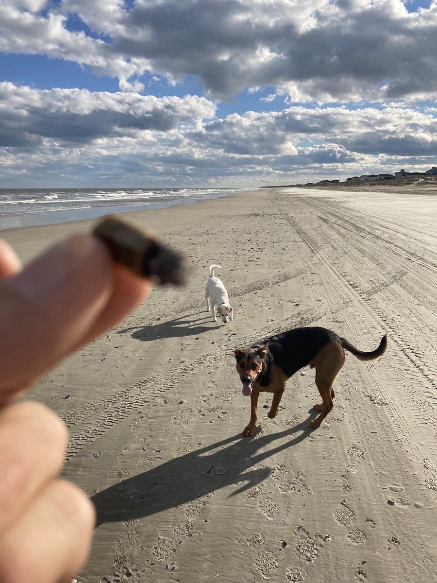 cuz68034570's tweet photo. Love these 3 #CannabisCommunity #420life #dogsofcannabis  #stonerforlife https://t.co/1IR1yuMSp6