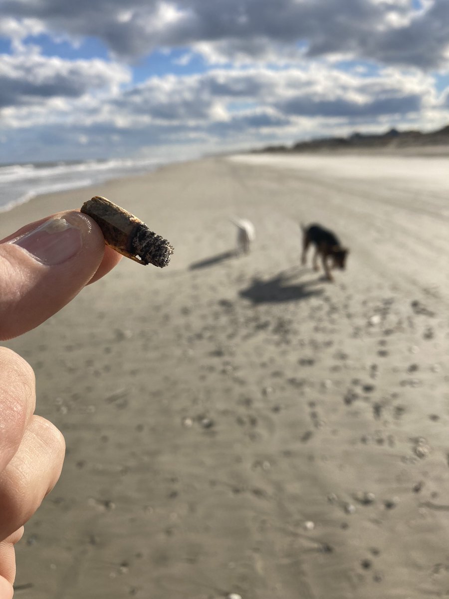 cuz68034570's tweet photo. Love these 3 #CannabisCommunity #420life #dogsofcannabis  #stonerforlife https://t.co/1IR1yuMSp6