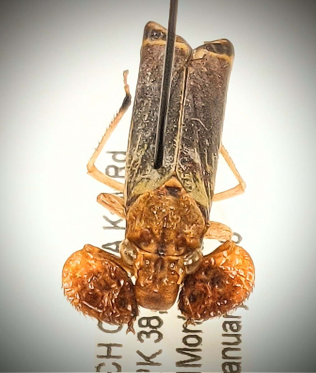 Oliver Keller Ph.D. tweet media