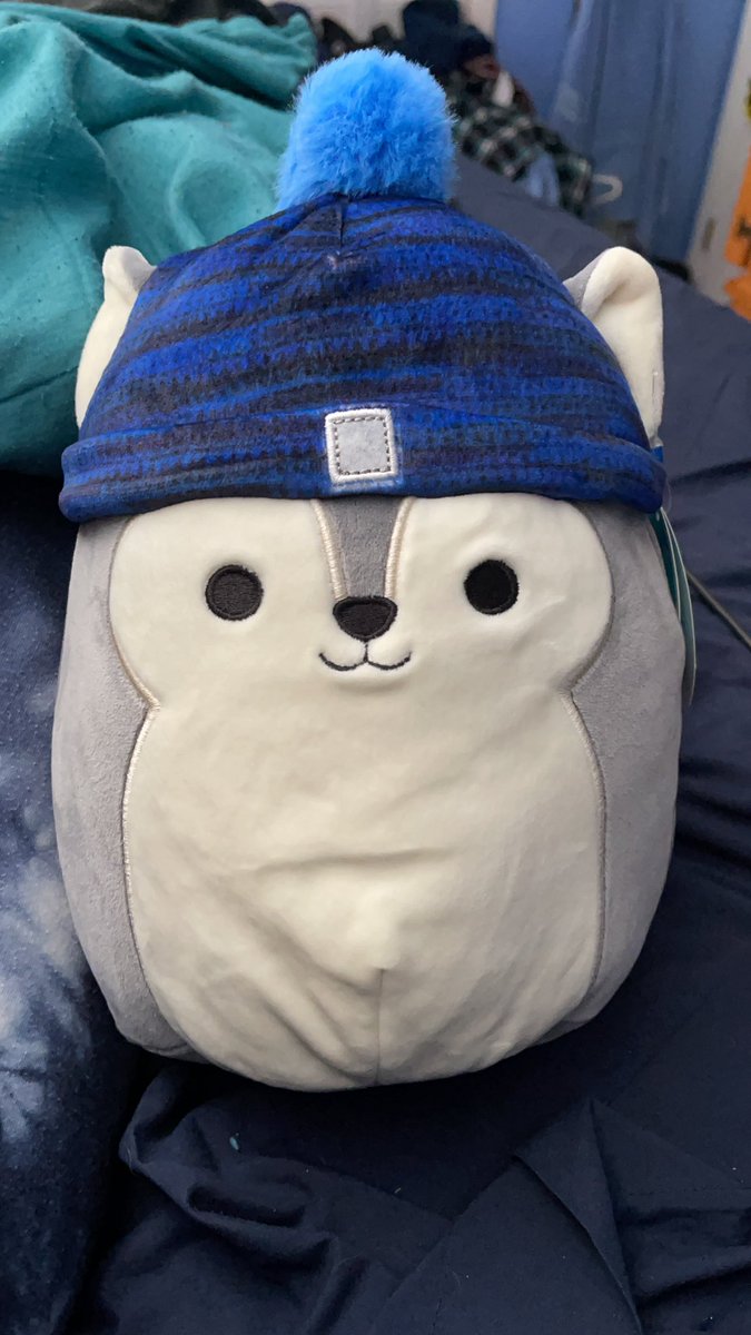 demonshadow72's tweet photo. Lil bro got me a smushmallow that looks like Demon! 🥰 https://t.co/y1MV6Al0dC