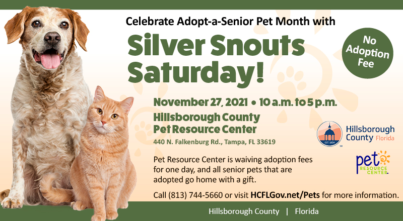 HillsboroughFL's tweet photo. Can you welcome a senior pet into your family? 🐶♥🐱

Join our #PRCPets TOMORROW to celebrate Adopt-a-Senior Pet Month! For one day only, adoption fees will be waived on these silver-snouted snugglers and each adoption will include a special gift! https://t.co/3DuVKUXbg3