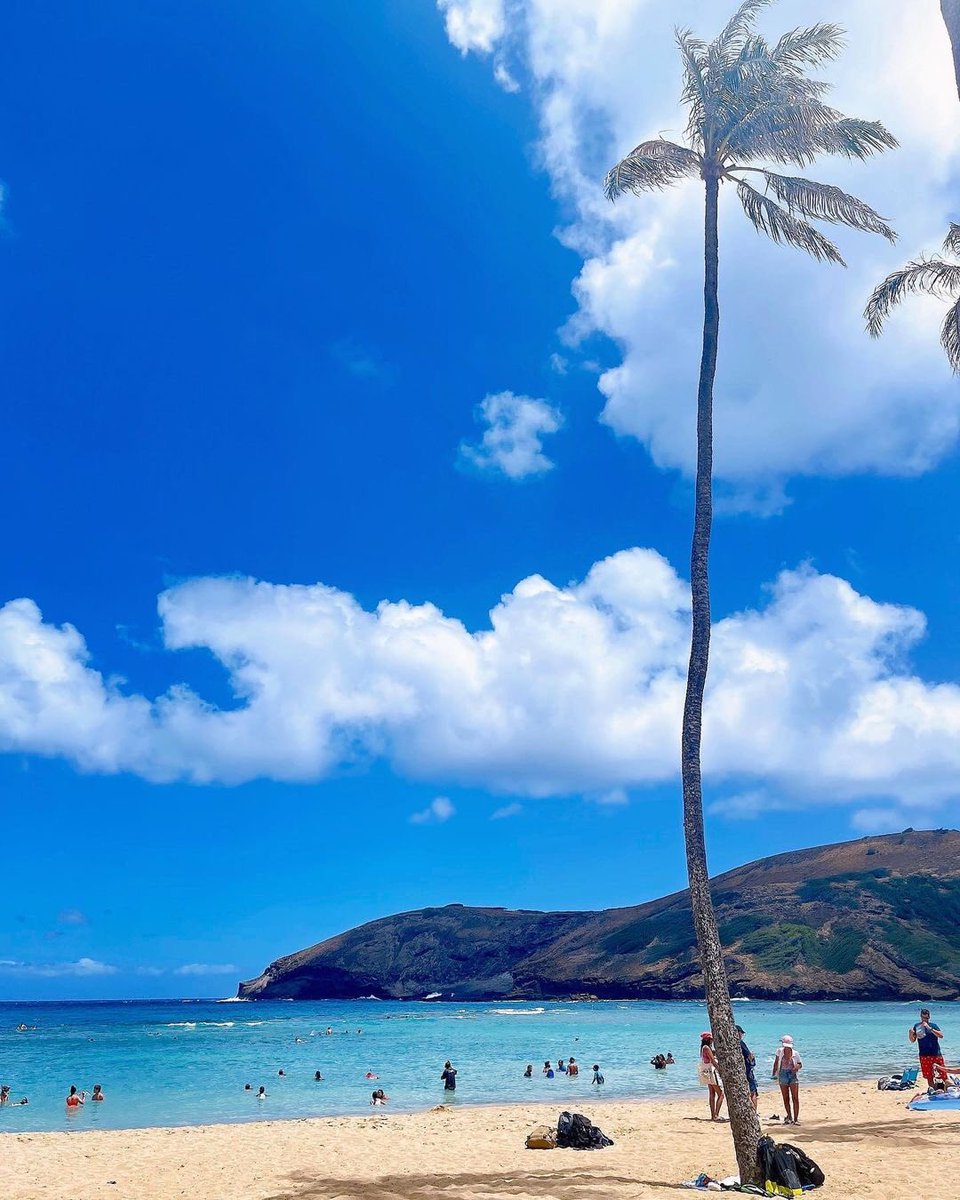Guanr_'s tweet photo. Hawaii Island🦕 https://t.co/NBvM2Epb1g
