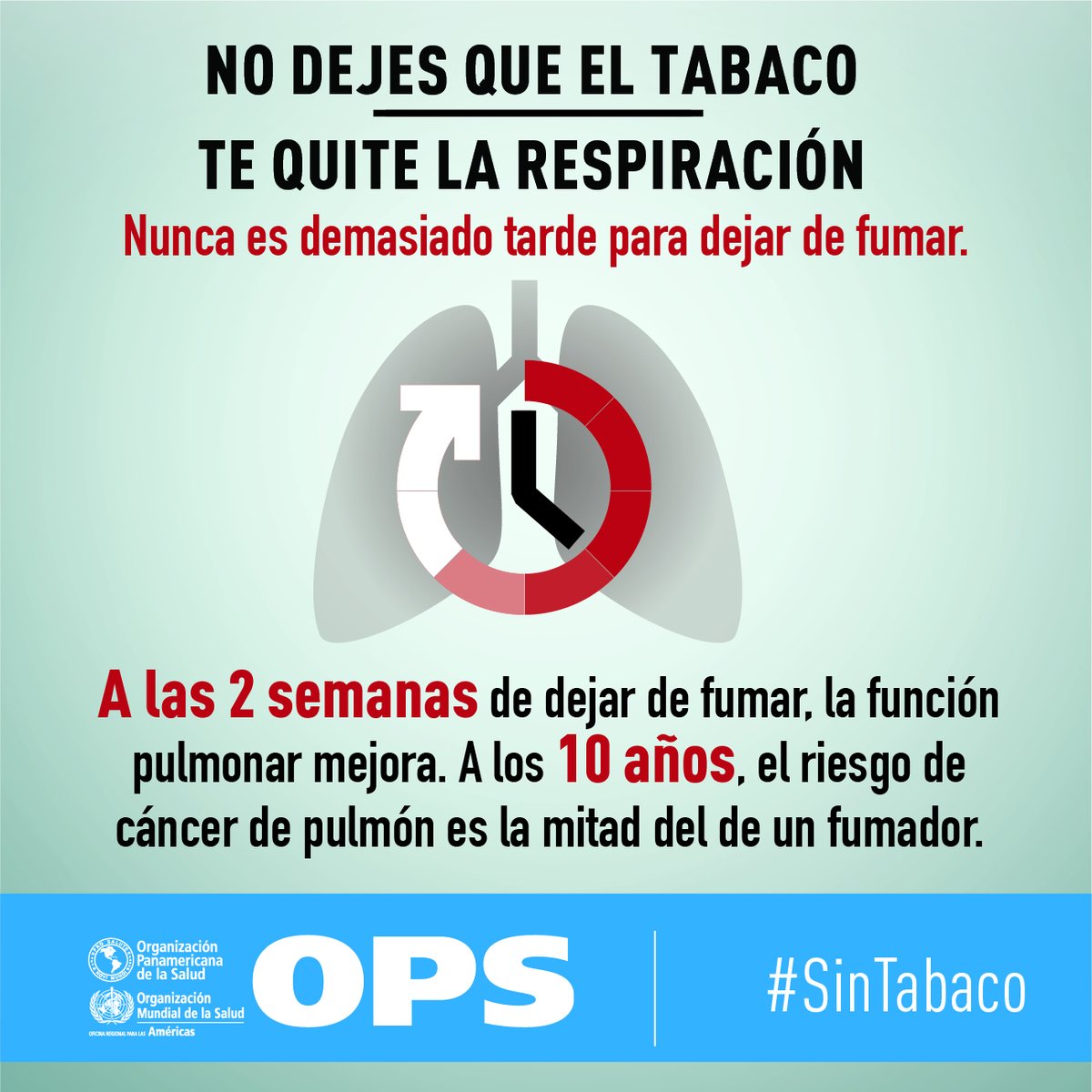 ONU_es's tweet photo. Una poderosa razón para dejar de fumar 🚭: El tabaco mata a 1 persona cada 4 segundos.

Nunca es tarde para dejar de fumar. No dejes que el tabaco te quite el aliento. https://t.co/ySeF1zdEcW #SinTabaco https://t.co/BXjvUCdX2t