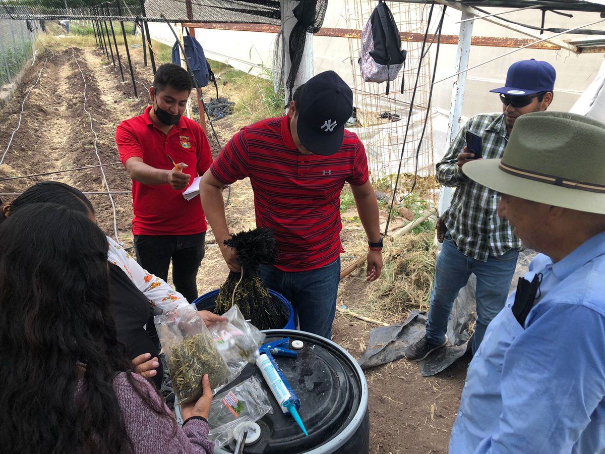 ProduceSinaloa's tweet photo. Técnicas de #FPS impartieron un taller de Elaboración de Insumos Orgánicos: Fertilización del cultivo de chile Chiltepín 🌶
La capacitación se realizó en las instalaciones de la Facultad de Agronomía de la #UAS
#agroecologico #transferenciadetecnología #FPSinaloa https://t.co/LDxrDtcZbM