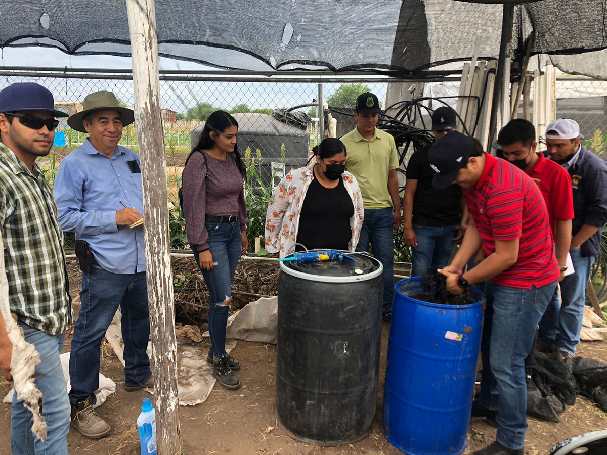 Técnicas de #FPS impartieron un taller de Elaboración de Insumos Orgánicos: Fertilización del cultivo de chile Chiltepín 🌶
La capacitación se realizó en las instalaciones de la Facultad de Agronomía de la #UAS
#agroecologico #transferenciadetecnología #FPSinaloa