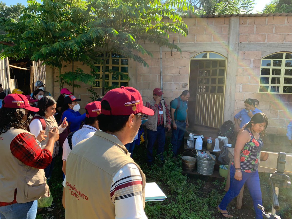 Preparación de insecticidas vegetales y uso de jabones y biopreparados, por el Ing. Helios Escobedo Cruz, del estado de Michoacán.
<a href="/victor_suarez/">Víctor Suárez 🇲🇽🇵🇸</a> <a href="/inifap/">INIFAP</a> <a href="/Agricultura_mex/">Secretaría de Agricultura y Desarrollo Rural</a>