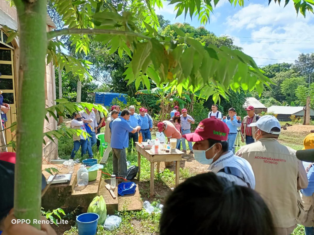 r16_sader's tweet photo. Preparación de insecticidas vegetales y uso de jabones y biopreparados, por el Ing. Helios Escobedo Cruz, del estado de Michoacán.
@victor_suarez @inifap @Agricultura_mex https://t.co/lJNleKYSTl