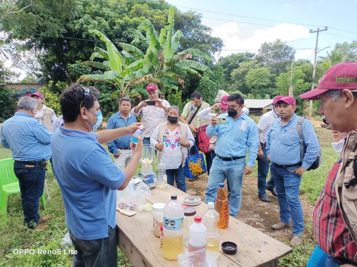 r16_sader's tweet photo. Preparación de insecticidas vegetales y uso de jabones y biopreparados, por el Ing. Helios Escobedo Cruz, del estado de Michoacán.
@victor_suarez @inifap @Agricultura_mex https://t.co/lJNleKYSTl