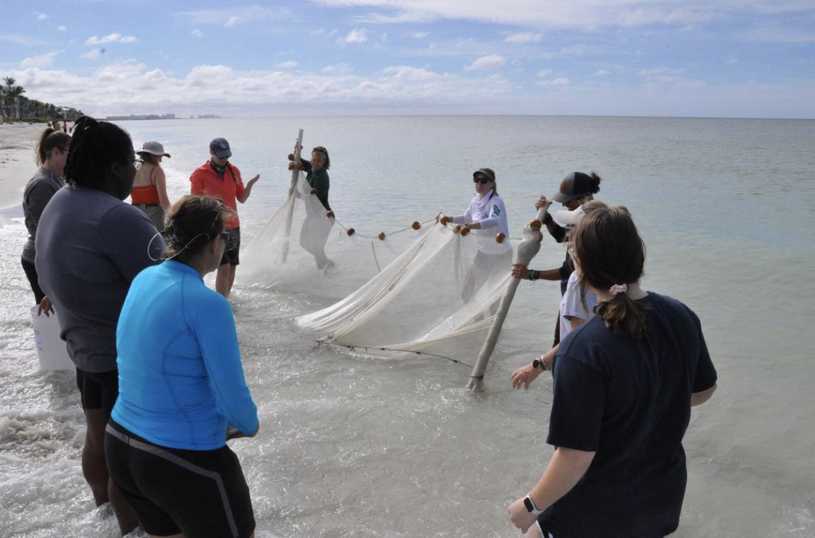 fgcu's tweet photo. Faculty members from The Water School at #FGCU spent time with teachers from Collier County last weekend. They were able to show them the resources available at #FGCU Vester Field Station for K-12 education outreach. #WingsUp #research https://t.co/g3YAaF4GhA