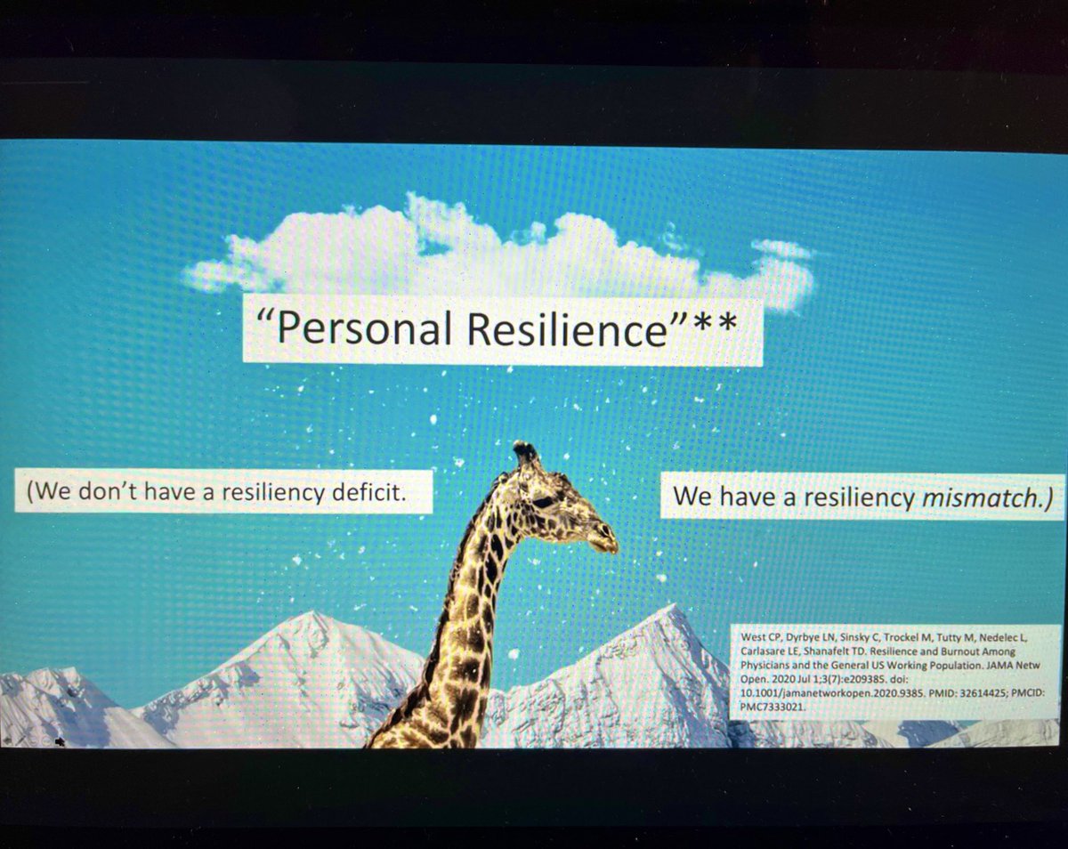 VBrul's tweet photo. As healthcare providers, we work in a tough system. We are resilient but there is a mismatch with the system. We are interdependent and need to change the culture together for ourselves and patients. Amazing talk by @JillianHortonMD  #ChildHealthCan2021 @ChildHealthCan https://t.co/xEhZwkKJxP