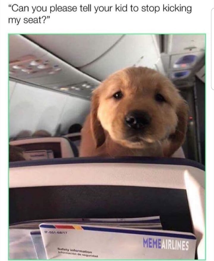 But THIS we would be okay with! ✈️

#pilot2pilot #fridayfunny #pilothumor #aviationlovers #aviation #generalaviation #pilotjokes