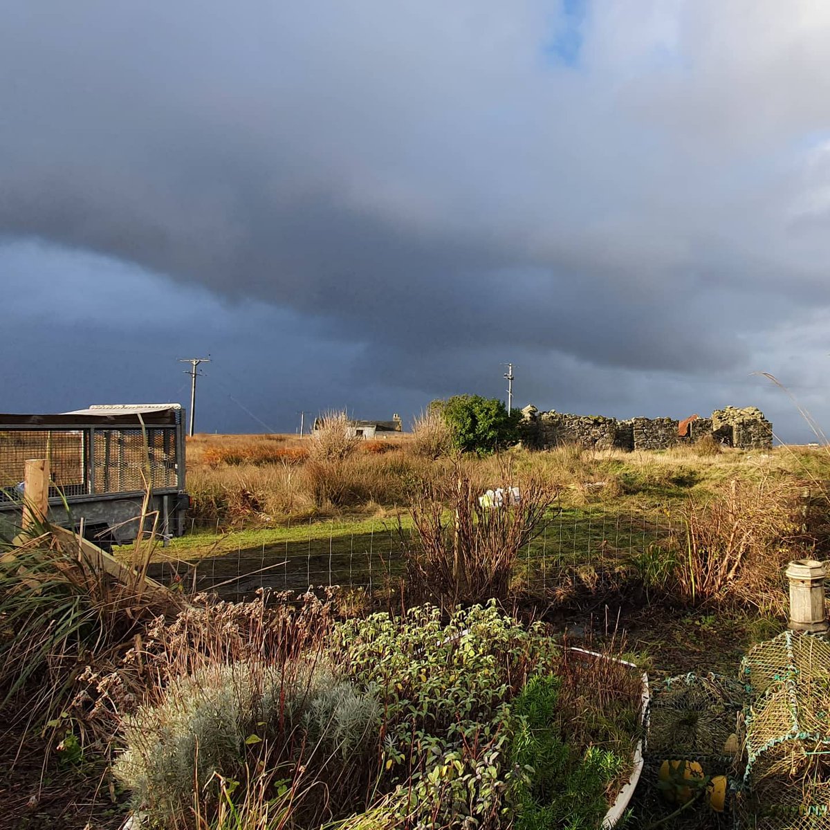 UistCottages's tweet photo. It takes more than Storm Arwen to halt the work on the new fence at Airidh an Dobhrain! Complete with new gates giving easier access for exploring the shore
#Fence #Gates #StormArwen #Windy #Hardwork #Rylock #Garden #GrimsayIsland #Benbecula #OuterHebrides #Cottage #Maintenance https://t.co/GsCAt3DlGw