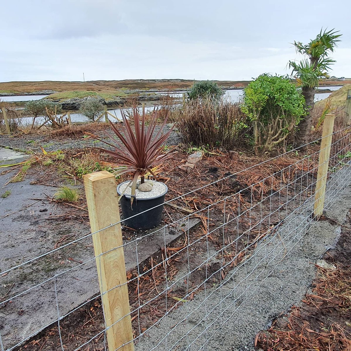 UistCottages's tweet photo. It takes more than Storm Arwen to halt the work on the new fence at Airidh an Dobhrain! Complete with new gates giving easier access for exploring the shore
#Fence #Gates #StormArwen #Windy #Hardwork #Rylock #Garden #GrimsayIsland #Benbecula #OuterHebrides #Cottage #Maintenance https://t.co/GsCAt3DlGw