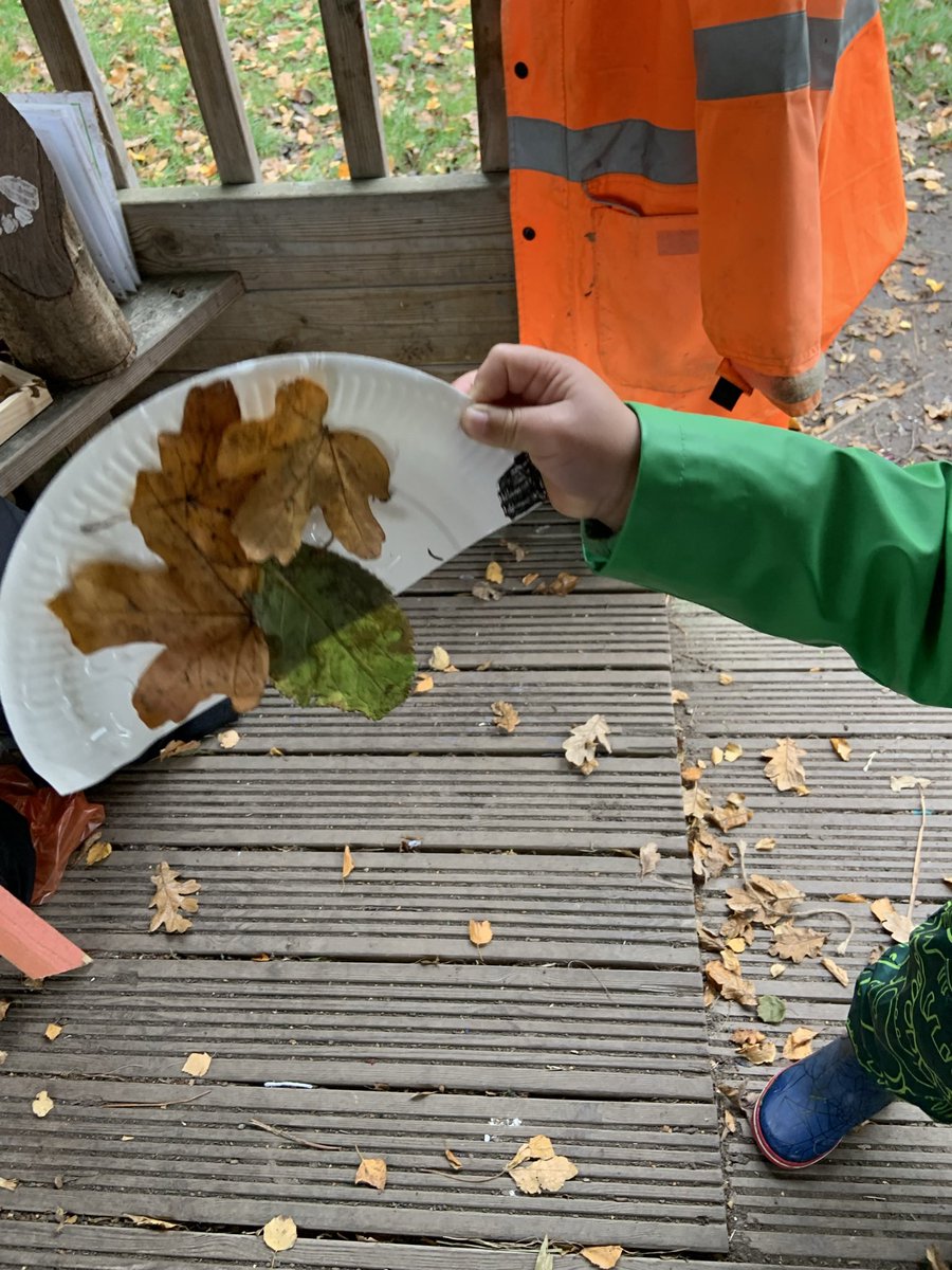 Outdoor Learning at Winsford High Street tweet media