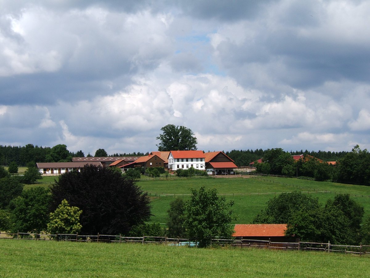 Such exciting news for German breeding that the beautifully bred son of Galileo - Japan - is to retire to stud at Gestüt Etzean for next season. The dual Group 1 winner will make his final racecourse appearance in Sunday’s Japan Cup.