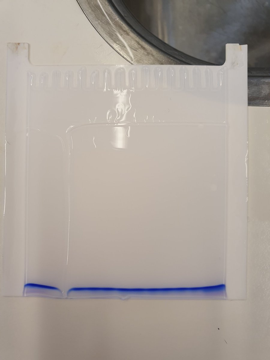 ifoldproteins's tweet photo. One of my weirdest SDS-PAGE gels ever. Can you see why?

#PhDLife #LabLife #PhDVoice
87/#365DaysOfScience https://t.co/w3UFce3R5b
