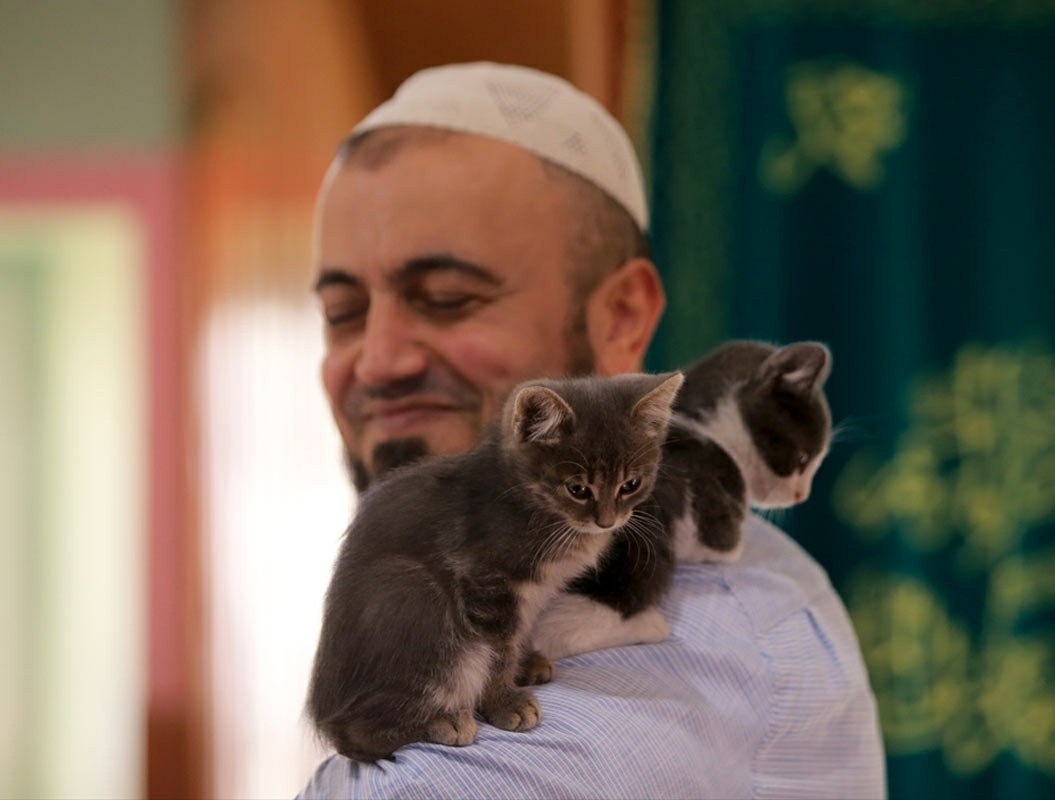 muslimdaily_'s tweet photo. A Turkish Imam opens the Mosque for cats to keep warm in the winter months ❤️ https://t.co/vCc3POCLqz