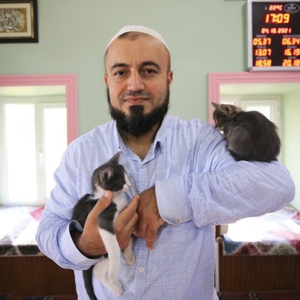 A Turkish Imam opens the Mosque for cats to keep warm in the winter months ❤️