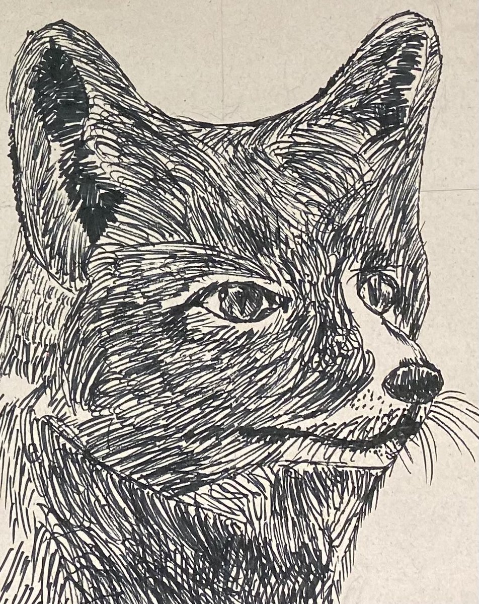 David Rankin tweet media