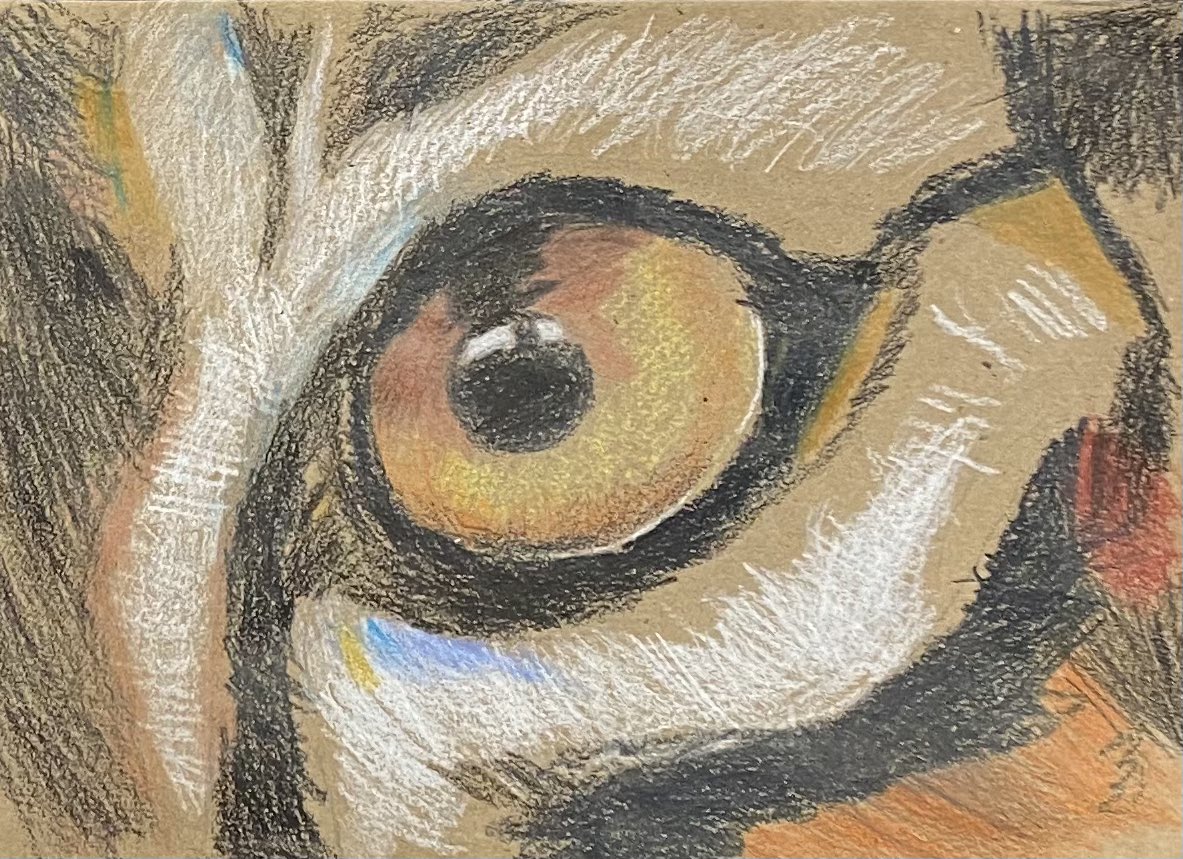 David Rankin tweet media