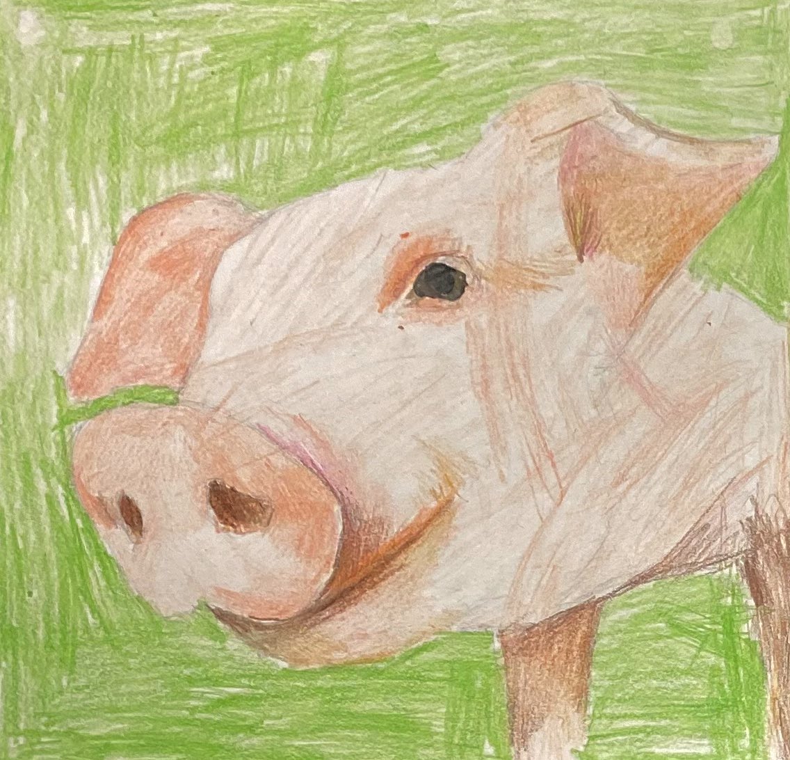 David Rankin tweet media