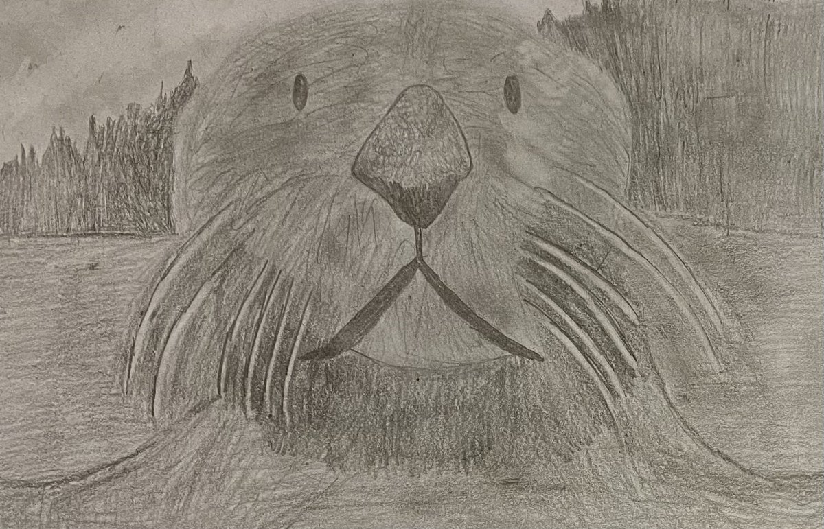 David Rankin tweet media