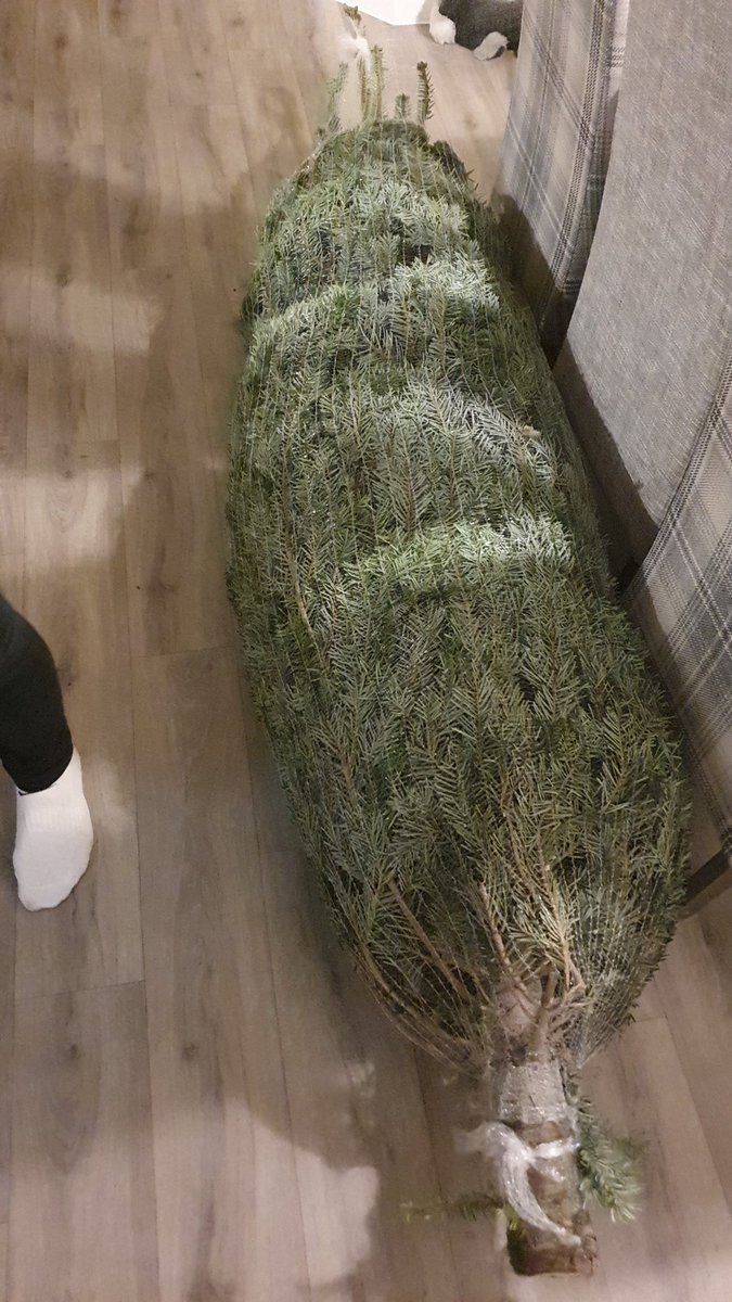 BrendanFoster's tweet photo. @Dominos_UK #BlackFridayWithDominos 
Putting up the Christmas tree, with the christmas tunes.(the legend, George Micheal) What you saying domino's? 🌲🎅🤶🧑‍🎄 
#Oncebitten https://t.co/oxEZb1SMtZ