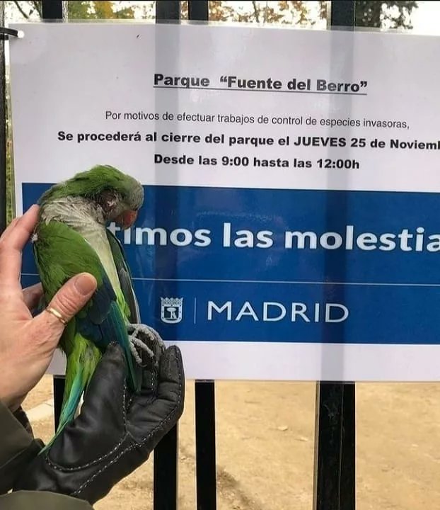 QGatuna's tweet photo. #AlmeidaMataCotorras 
Vergüenza de alcalde https://t.co/lqE3hvNj1r