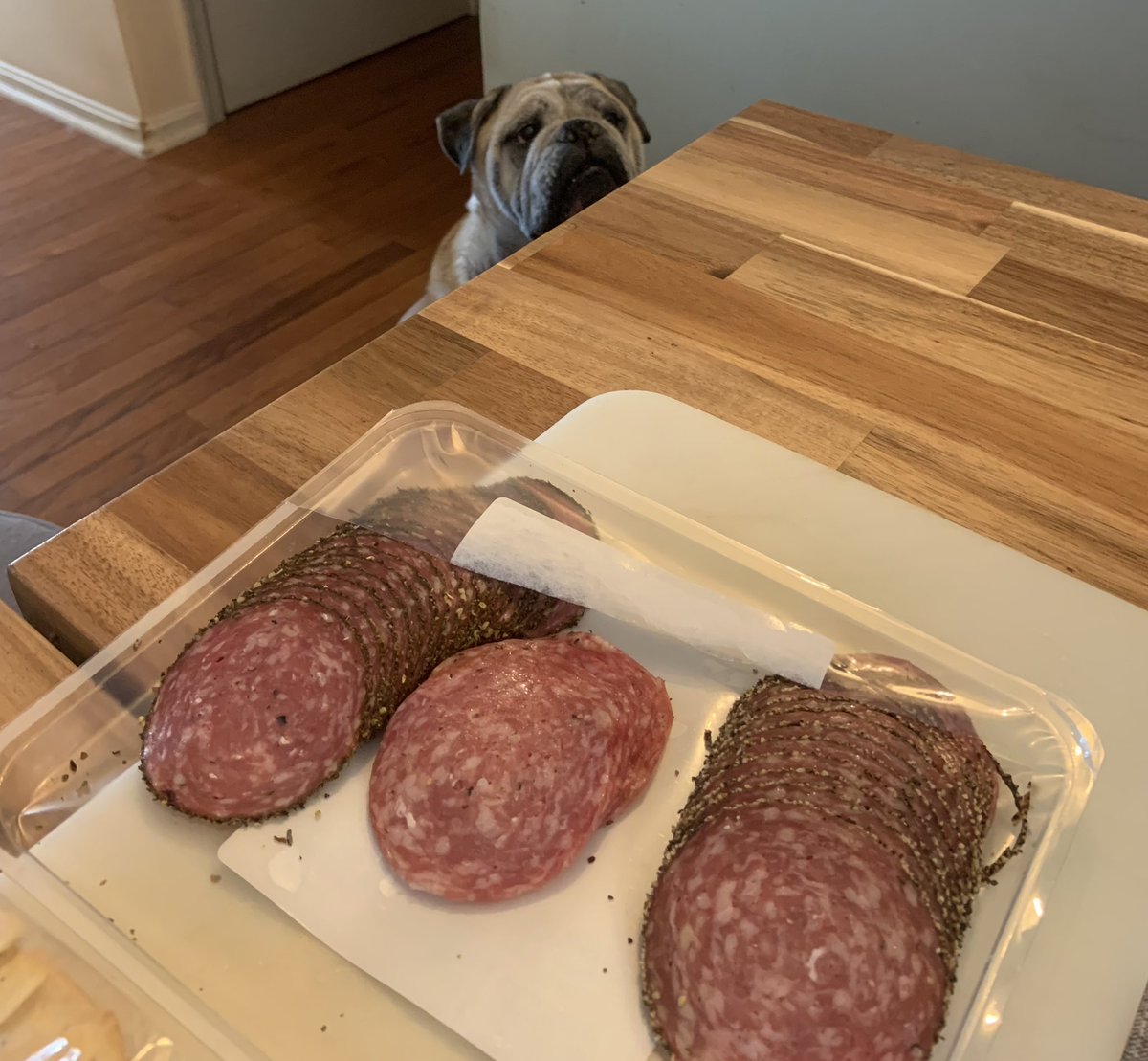 CharlieTheBull4's tweet photo. He KNOWS https://t.co/WvmU1WN1xC