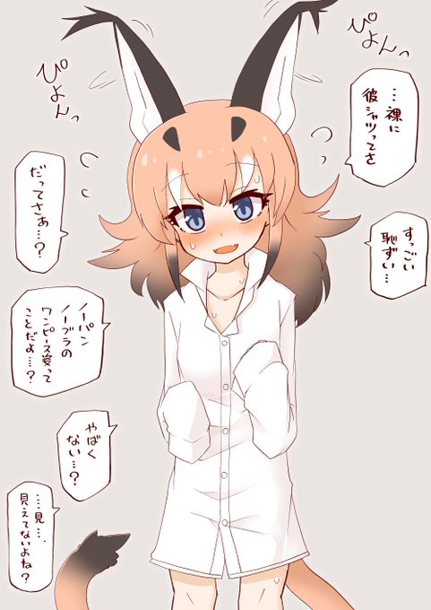 これは彼シャツするカルにゃん 