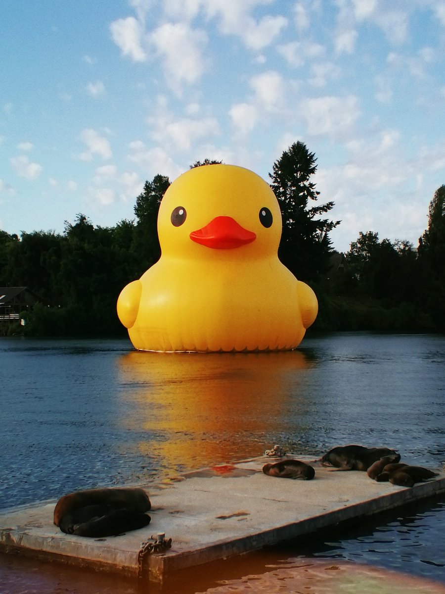aleginger_art's tweet photo. THE DUCK™ CAME TO MY CITY OMG AND THERE'S MORE COOL STUFF but it was so crowded I couldn't take pics 😭💔
#PatoDeHule https://t.co/1nOxSTebbu