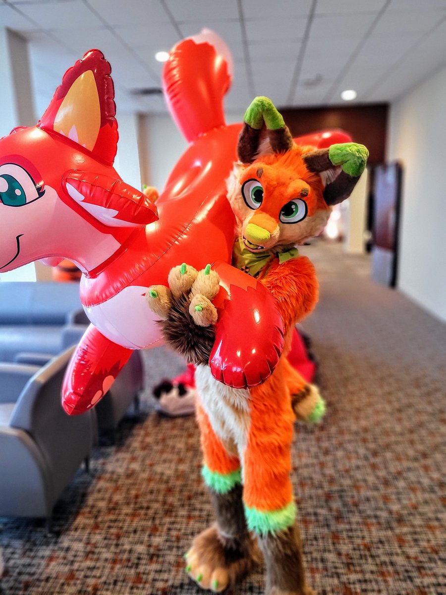 EclipseDurr's tweet photo. Can I interest you in a pooltoy foxo for this #FursuitFriday?
๐ธ:@SpotsyTheYeen
#CFBiT https://t.co/clD3faVKlR