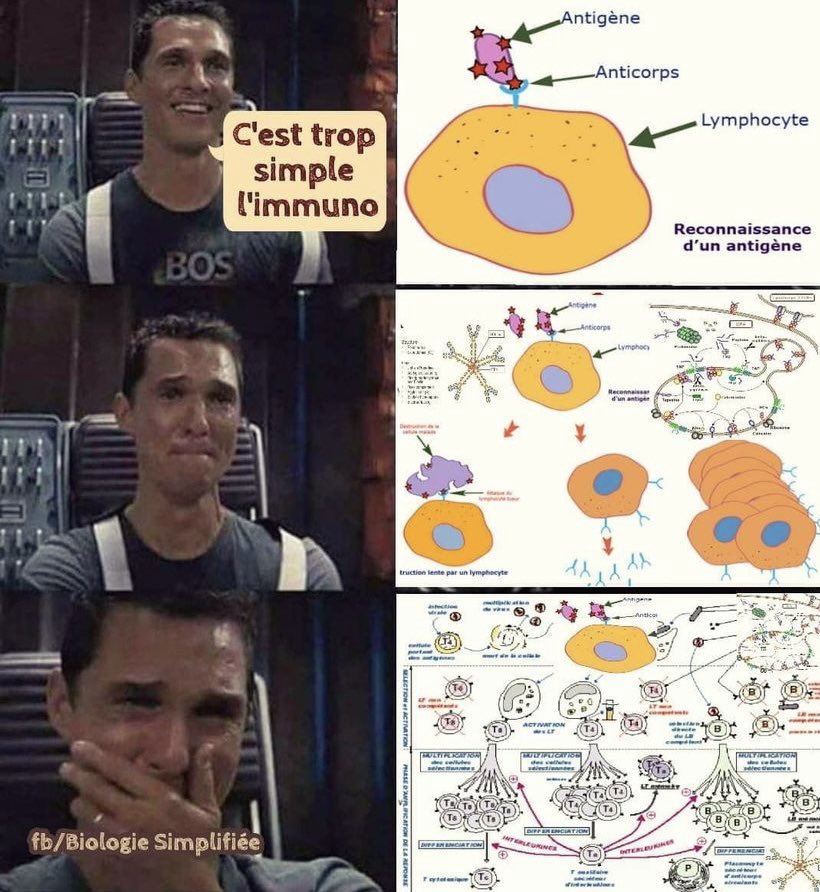 nic_guillaume's tweet photo. L’immuno: la matière crescendo 😏.
Spéciale dédicace pour les 2èmes année de @Facpharmamiens https://t.co/125KaODhsR