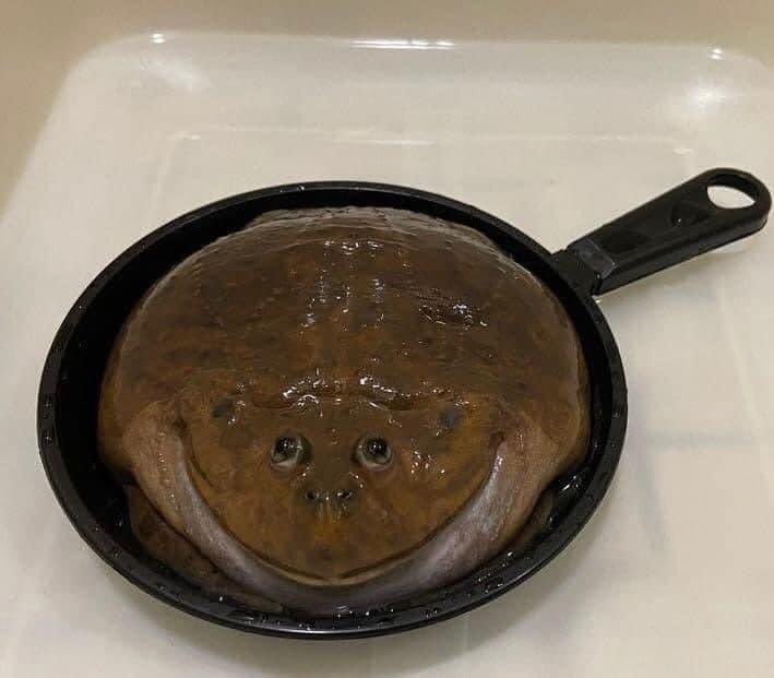 shirozake's tweet image. Mój naleśnik jakoś dziwnie wygląda, ktoś ma pomysły czemu?