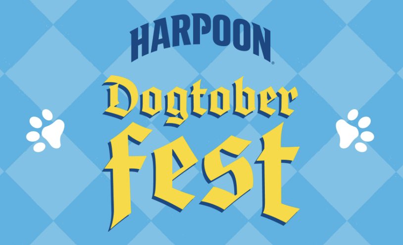 LennyTheBoston's tweet photo. Harpoon Brewery Dogtoberfest 2021 named me an K9 ambassador, sent me a care package! https://t.co/z4nfERZ9dD via @YouTube #harpoonbrewery #caninecritic #dogsoftwitter https://t.co/YmM6fgS3gZ