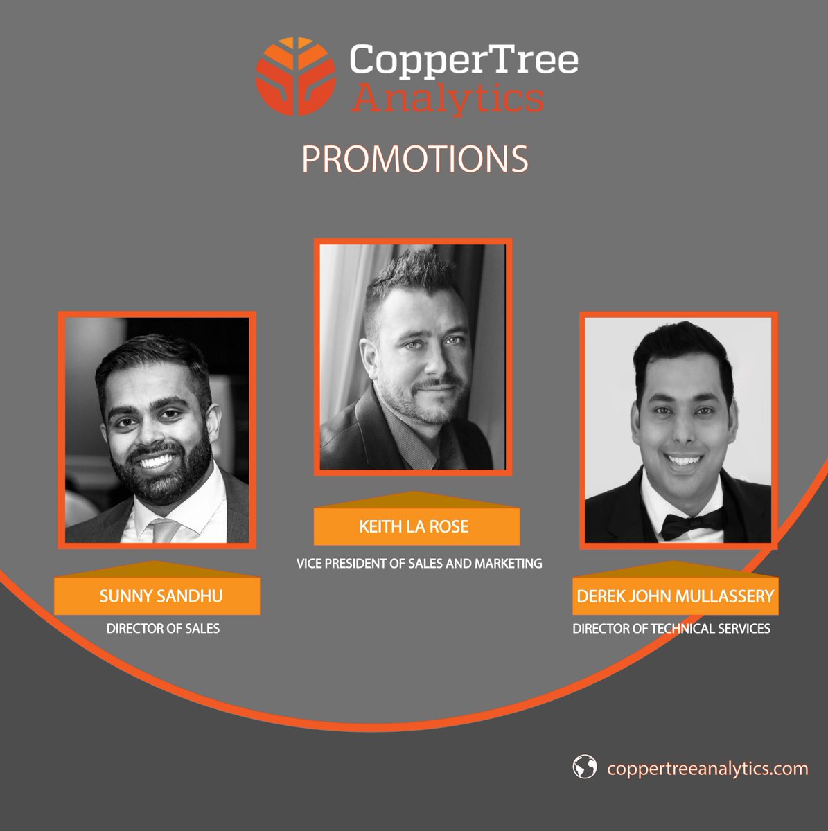 CopperTree Analytics tweet media
