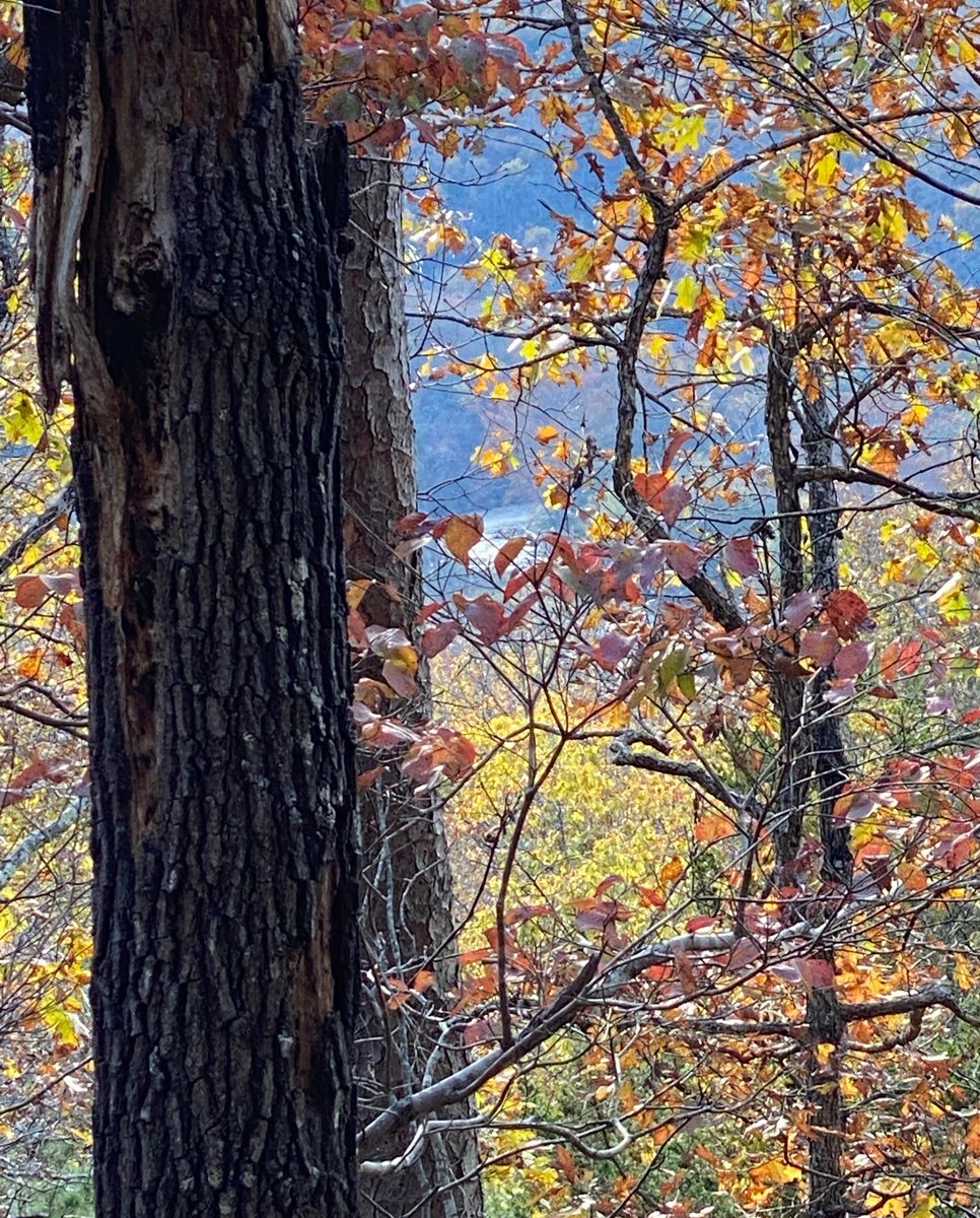 EchoBluffLodge's tweet photo. "This breathtakingly beautiful area holds so many memories for my family and I!" - Adrienne L
What's your favorite #EchoBluff memory? Share it with us for a chance to win a two night stay: https://t.co/1gCgMcCcoi https://t.co/G387zWVu2T