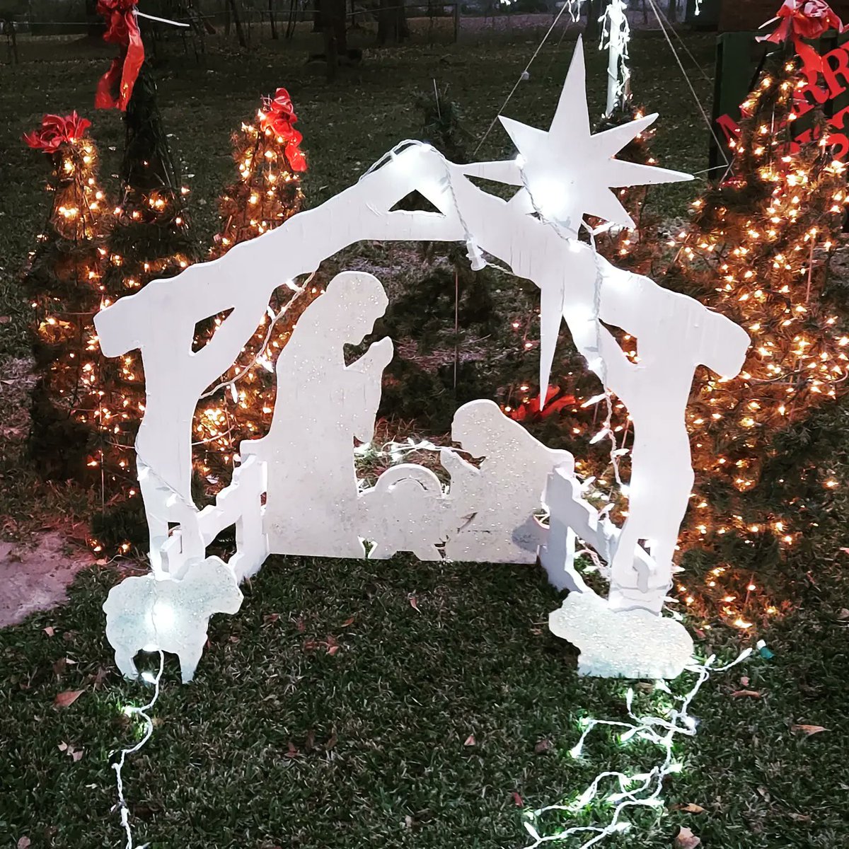 Mrsbirdmath's tweet photo. It's beginning to look a lot like Christmas at the Bird house! 🎄
#myfavoriteholiday
#diydecorations https://t.co/ZGVRZdZiJZ
