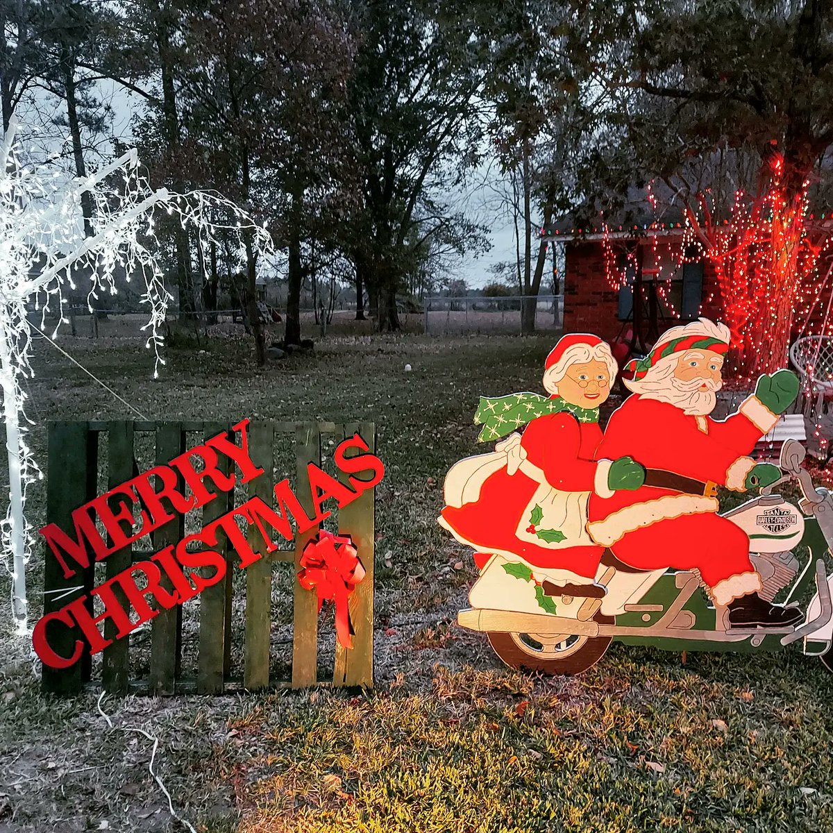 Mrsbirdmath's tweet photo. It's beginning to look a lot like Christmas at the Bird house! 🎄
#myfavoriteholiday
#diydecorations https://t.co/ZGVRZdZiJZ