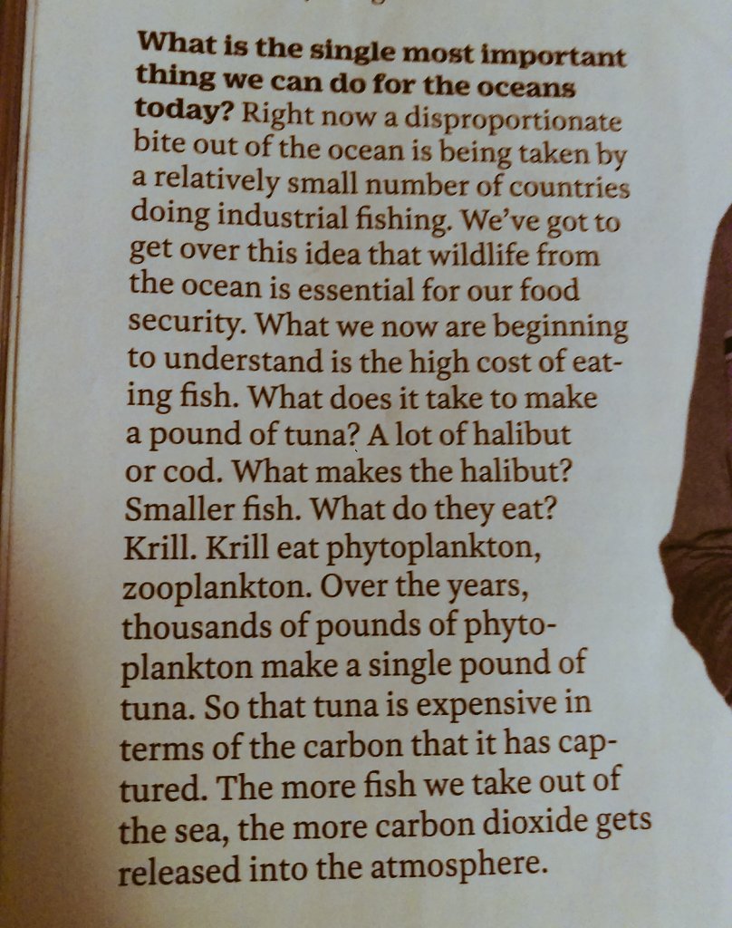 matthieuponchel's tweet image. A very short, clear and compelling case to stop eating fishes. Thanks @SylviaEarle