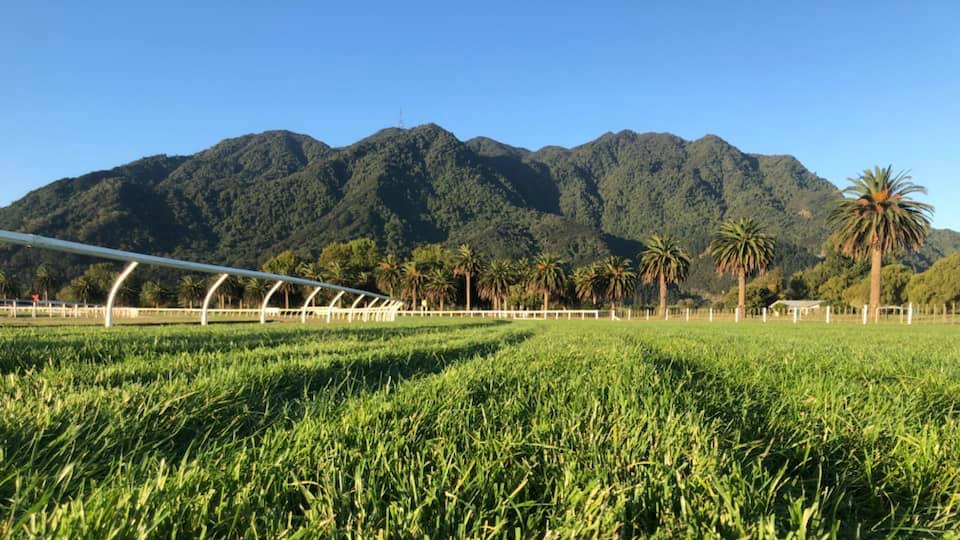 paul_mirabelli's tweet image. We have one runner today, under the mountain at Racing Te Aroha.

#TinyTerror in R9 The Capistrano Lodge 1400
Barrier: 8
Jockey: Tegan Newman.

loveracing.nz/raceinfo/50405…

📸: Racing Te Aroha