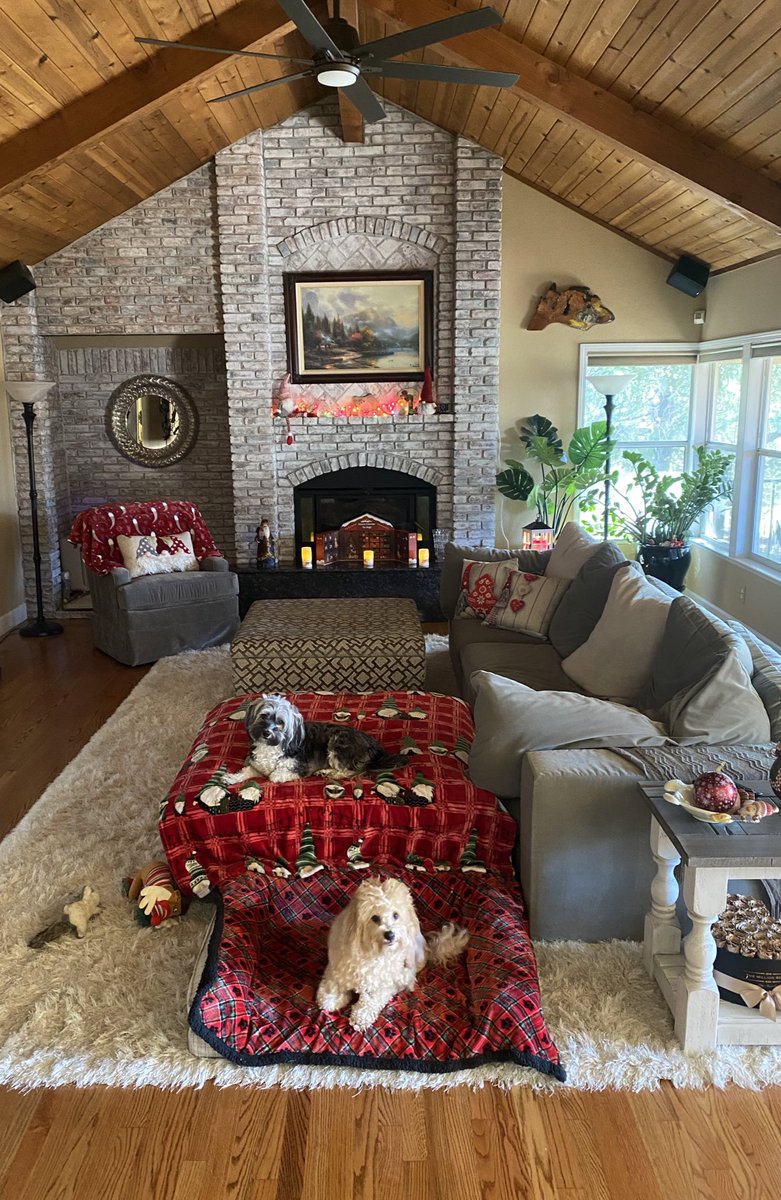 Bri Teresi tweet media