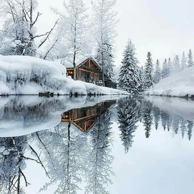 expressions77's tweet image. #winterwonderland   #nature-beauty  #snowvibes