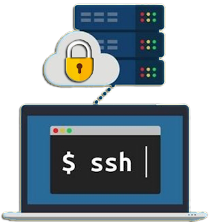 Fresh SSH All Country Nov 27 2021 view more: bymyseo.com/2021/11/fresh-…